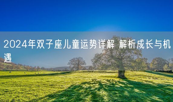 2024年双子座儿童运势详解 解析成长与机遇(图1) 2024年双子座儿童运势详解 解析成长与机遇(图1)