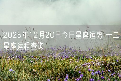 2025年12月20日今日星座运势 十二星座运程查询(图1)