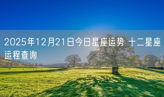 2025年12月21日今日星座运势 十二星座运程查询(图1)