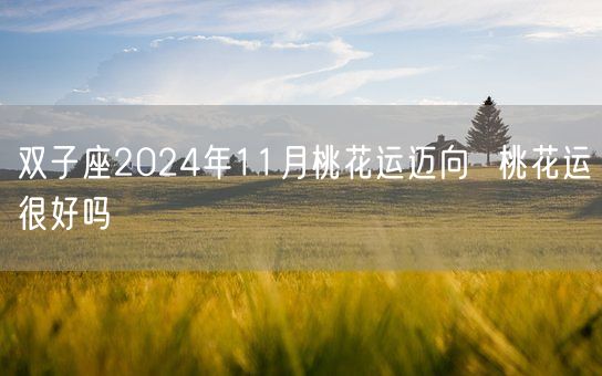 双子座2024年11月桃花运迈向  桃花运很好吗(图1)