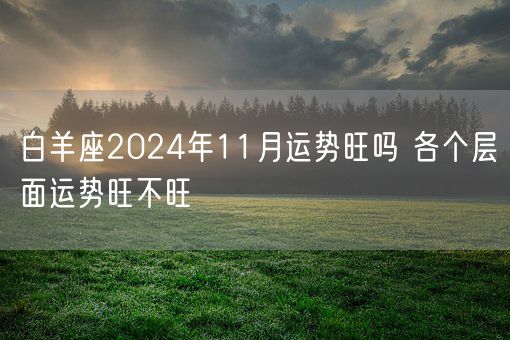 白羊座2024年11月运势旺吗 各个层面运势旺不旺(图1)