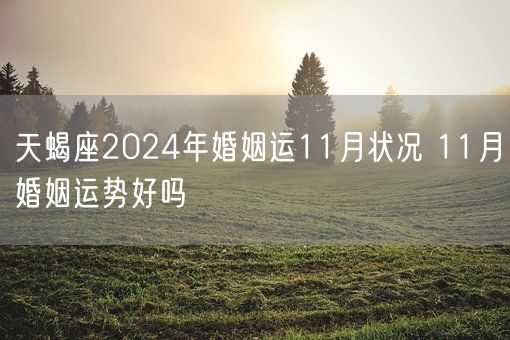 天蝎座2024年婚姻运11月状况 11月婚姻运势好吗(图1)