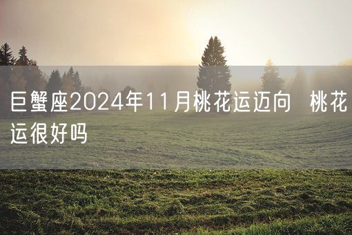 巨蟹座2024年11月桃花运迈向  桃花运很好吗(图1)