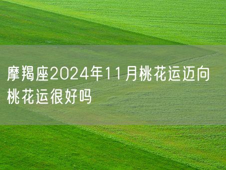 摩羯座2024年11月桃花运迈向  桃花运很好吗(图1)