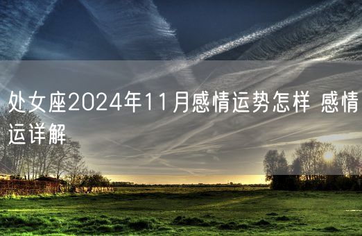 处女座2024年11月感情运势怎样 感情运详解(图1)