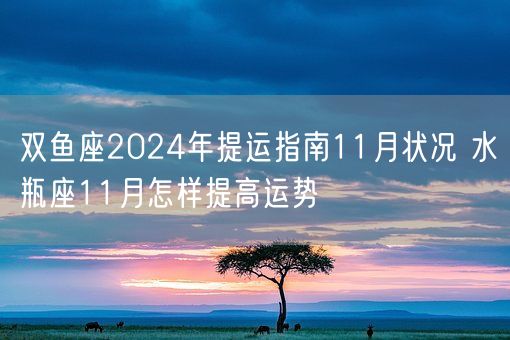 双鱼座2024年提运指南11月状况 水瓶座11月怎样提高运势(图1)