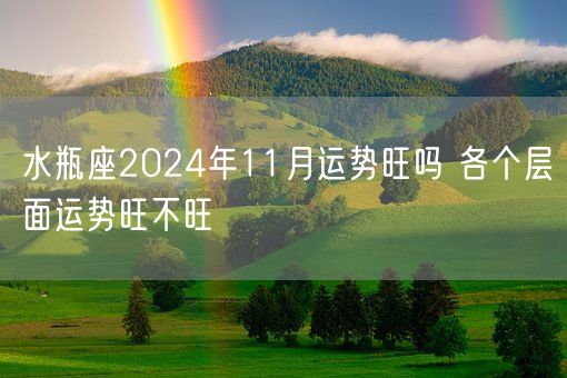 水瓶座2024年11月运势旺吗 各个层面运势旺不旺(图1)