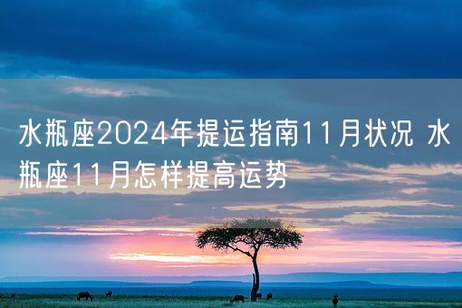 水瓶座2024年提运指南11月状况 水瓶座11月怎样提高运势(图1)