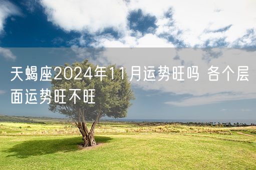 天蝎座2024年11月运势旺吗 各个层面运势旺不旺(图1)