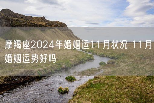 摩羯座2024年婚姻运11月状况 11月婚姻运势好吗(图1)