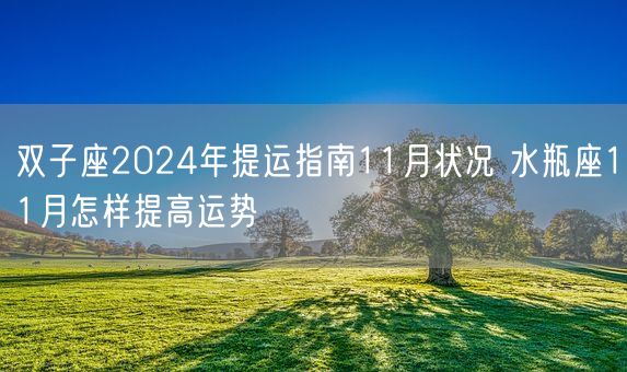 双子座2024年提运指南11月状况 水瓶座11月怎样提高运势(图1)