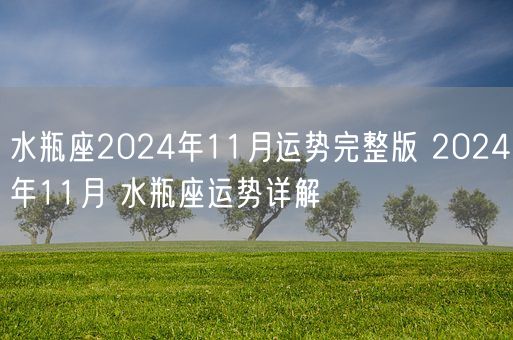 水瓶座2024年11月运势完整版 2024年11月 水瓶座运势详解(图1)