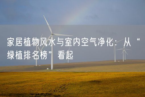 家居植物风水与室内空气净化：从“绿植排名榜”看起(图1)