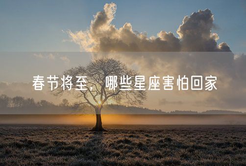 春节将至，哪些星座害怕回家(图1)