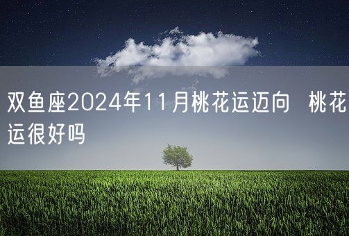 双鱼座2024年11月桃花运迈向  桃花运很好吗(图1)