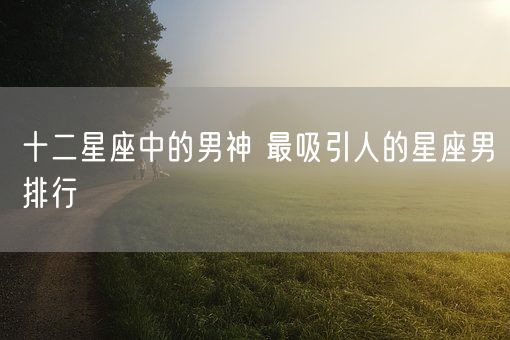 十二星座中的男神 最吸引人的星座男排行(图1)