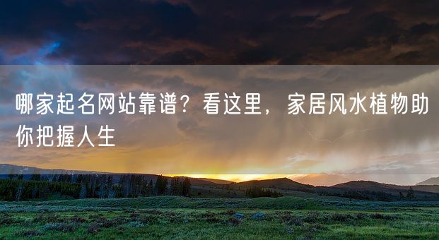 哪家起名网站靠谱？看这里，家居风水植物助你把握人生(图1)