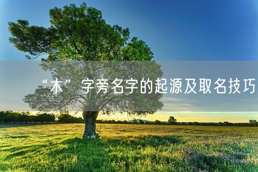 “木”字旁名字的起源及取名技巧(图1)