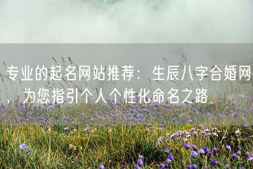 专业的起名网站推荐：生辰八字合婚网，为您指引个人个性化命名之路(图1)