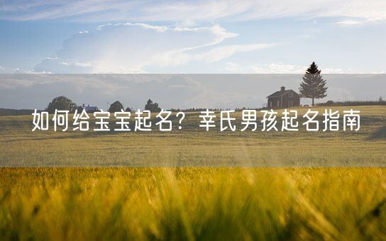 如何给宝宝起名？幸氏男孩起名指南(图1)