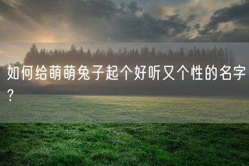 如何给萌萌兔子起个好听又个性的名字？(图1)