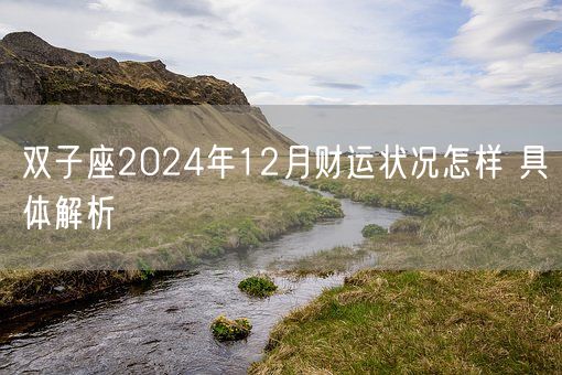 双子座2024年12月财运状况怎样 具体解析(图1) 双子座2024年12月财运状况怎样 具体解析(图1)