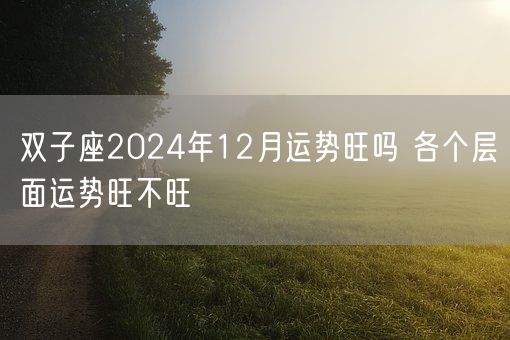双子座2024年12月运势旺吗 各个层面运势旺不旺(图1) 双子座2024年12月运势旺吗 各个层面运势旺不旺(图1)