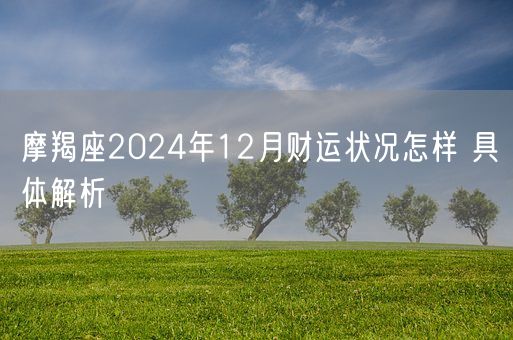 摩羯座2024年12月财运状况怎样 具体解析(图1)