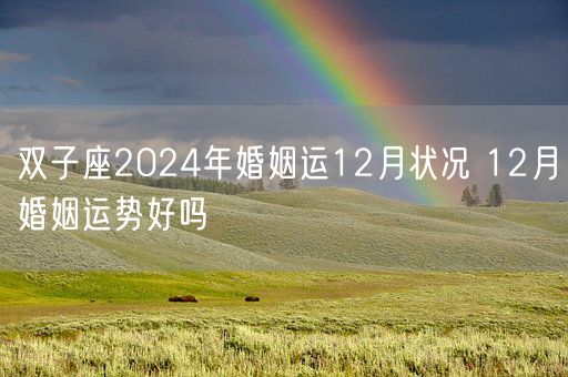 双子座2024年婚姻运12月状况 12月婚姻运势好吗(图1) 双子座2024年婚姻运12月状况 12月婚姻运势好吗(图1)