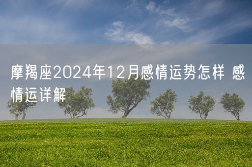 摩羯座2024年12月感情运势怎样 感情运详解(图1)