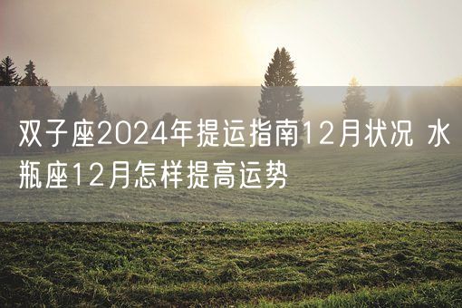 双子座2024年提运指南12月状况 水瓶座12月怎样提高运势(图1) 双子座2024年提运指南12月状况 水瓶座12月怎样提高运势(图1)