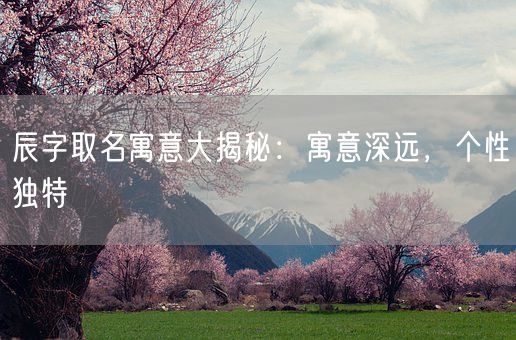 辰字取名寓意大揭秘：寓意深远，个性独特(图1)
