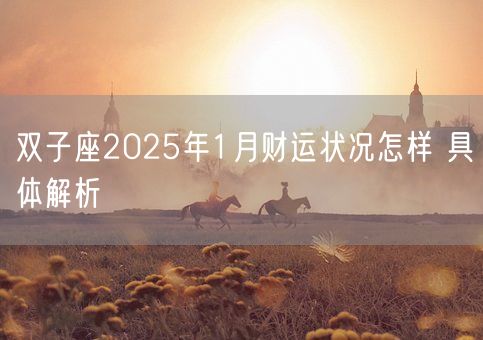双子座2025年1月财运状况怎样 具体解析(图1) 双子座2025年1月财运状况怎样 具体解析(图1)