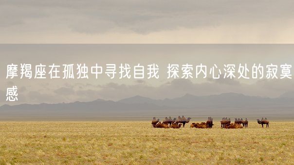 摩羯座在孤独中寻找自我 探索内心深处的寂寞感(图1)