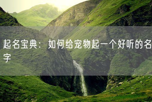 起名宝典：如何给宠物起一个好听的名字(图1)