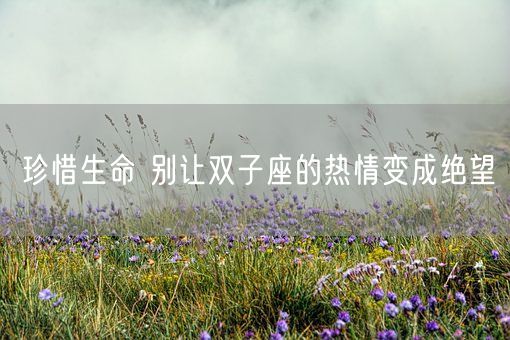 珍惜生命 别让双子座的热情变成绝望(图1) 珍惜生命 别让双子座的热情变成绝望(图1)