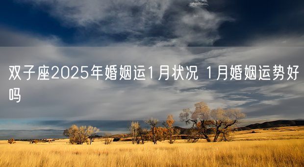 双子座2025年婚姻运1月状况 1月婚姻运势好吗(图1) 双子座2025年婚姻运1月状况 1月婚姻运势好吗(图1)