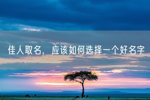 佳人取名，应该如何选择一个好名字(图1)