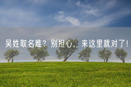 吴姓取名难？别担心，来这里就对了！(图1)
