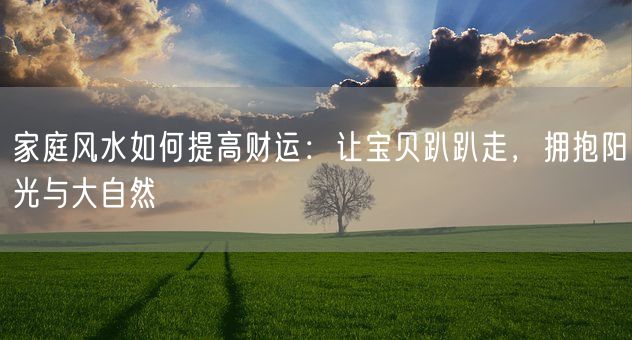 家庭风水如何提高财运：让宝贝趴趴走，拥抱阳光与大自然(图1)