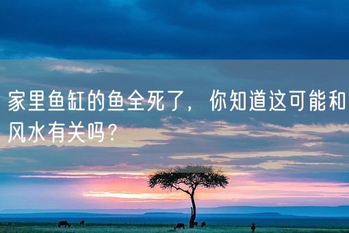 家里鱼缸的鱼全死了，你知道这可能和风水有关吗？(图1)