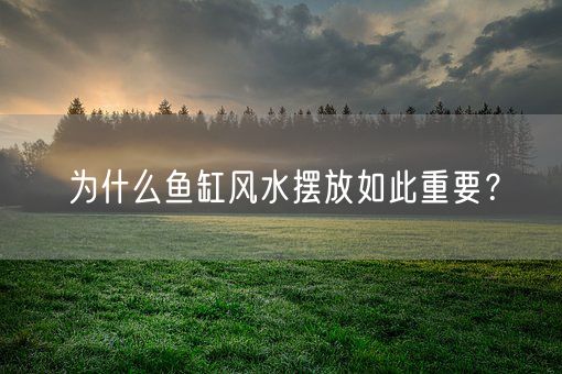 为什么鱼缸风水摆放如此重要？(图1)