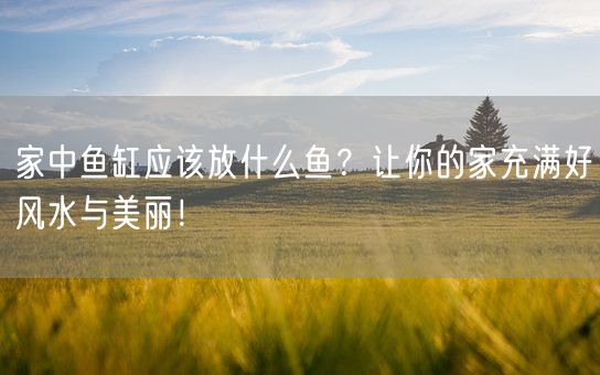 家中鱼缸应该放什么鱼？让你的家充满好风水与美丽！(图1)