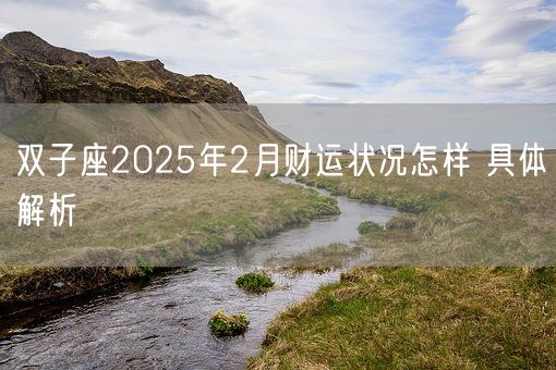 双子座2025年2月财运状况怎样 具体解析(图1) 双子座2025年2月财运状况怎样 具体解析(图1)