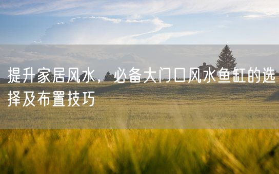 提升家居风水，必备大门口风水鱼缸的选择及布置技巧(图1)