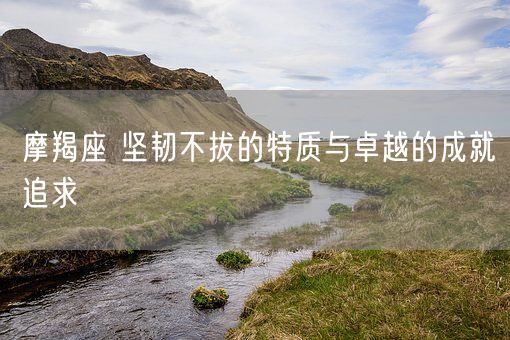 摩羯座 坚韧不拔的特质与卓越的成就追求(图1)