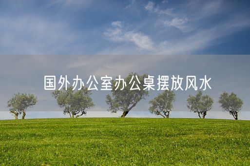 国外办公室办公桌摆放风水(图1)
