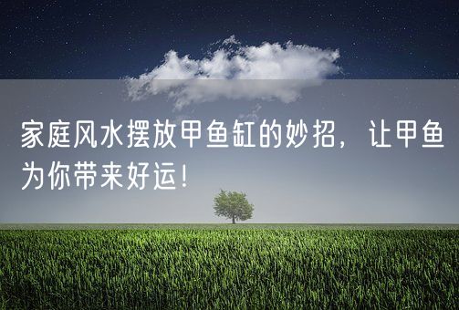 家庭风水摆放甲鱼缸的妙招，让甲鱼为你带来好运！(图1)