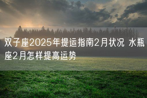 双子座2025年提运指南2月状况 水瓶座2月怎样提高运势(图1) 双子座2025年提运指南2月状况 水瓶座2月怎样提高运势(图1)