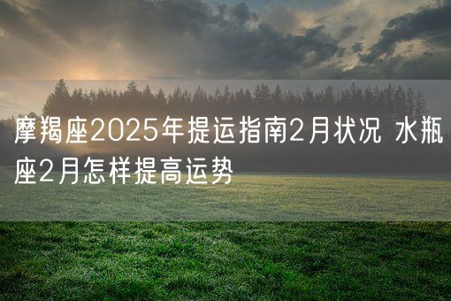 摩羯座2025年提运指南2月状况 水瓶座2月怎样提高运势(图1)